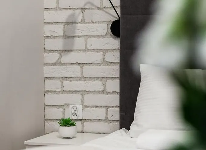 Przy Krzywym Domku Ltc - 소포트